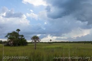 Josh Manring Photographer Decor Wall Art -  Florida Everglades -65.jpg